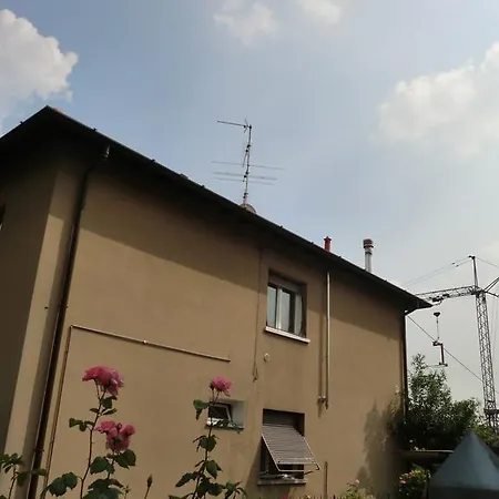 Nikita *